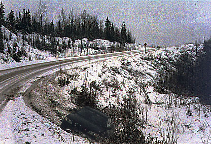 Lexus in the ditch