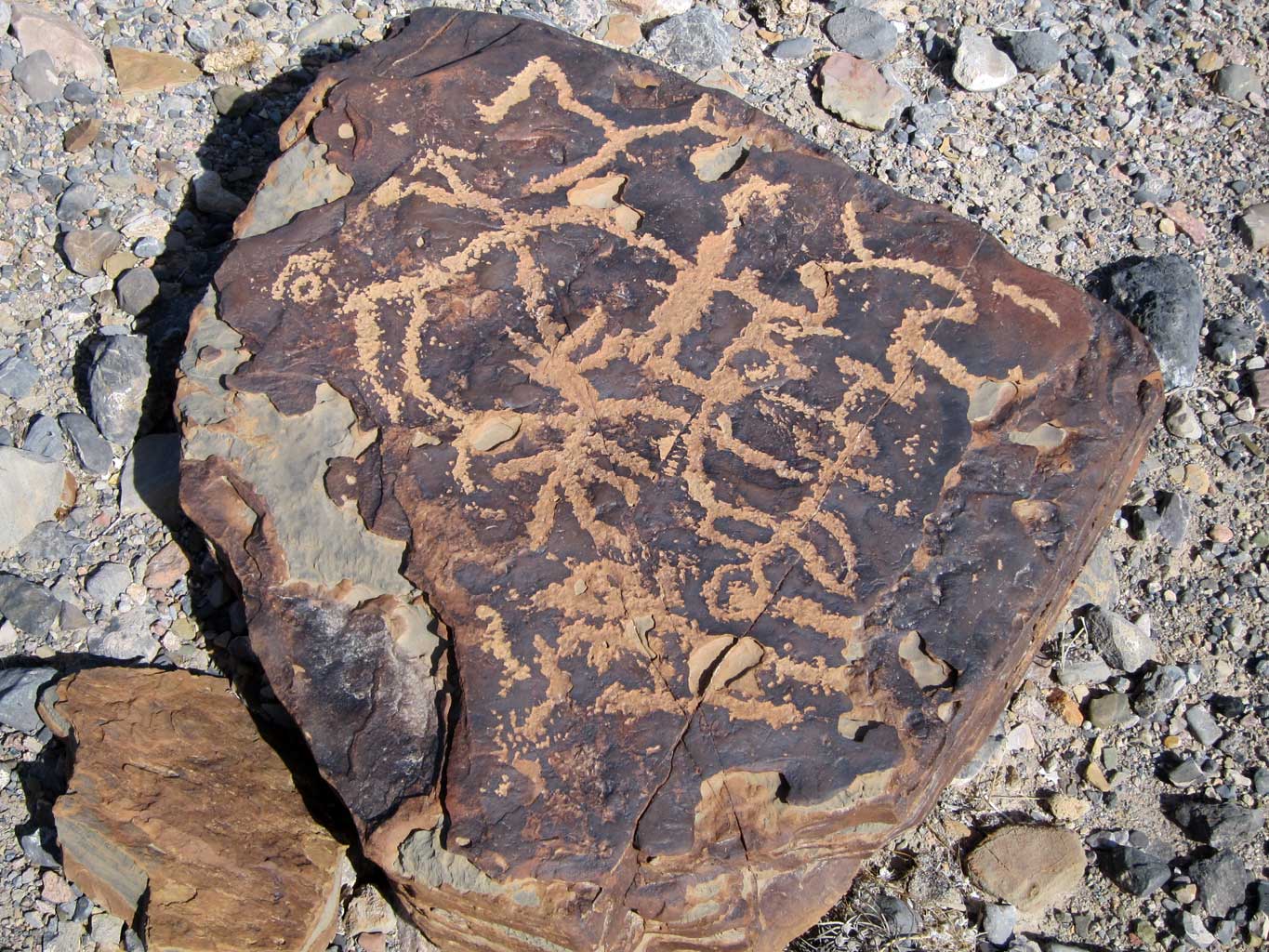 2012-img-3012-petroglyph