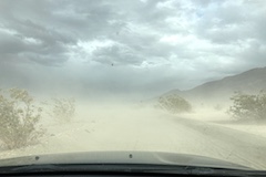 dust storm driving back 