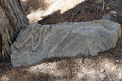 swirly pattern in rock 